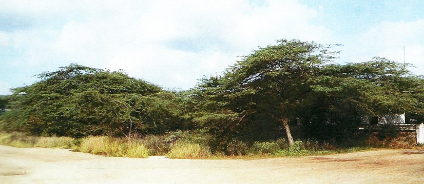 Monplaisier Property Land